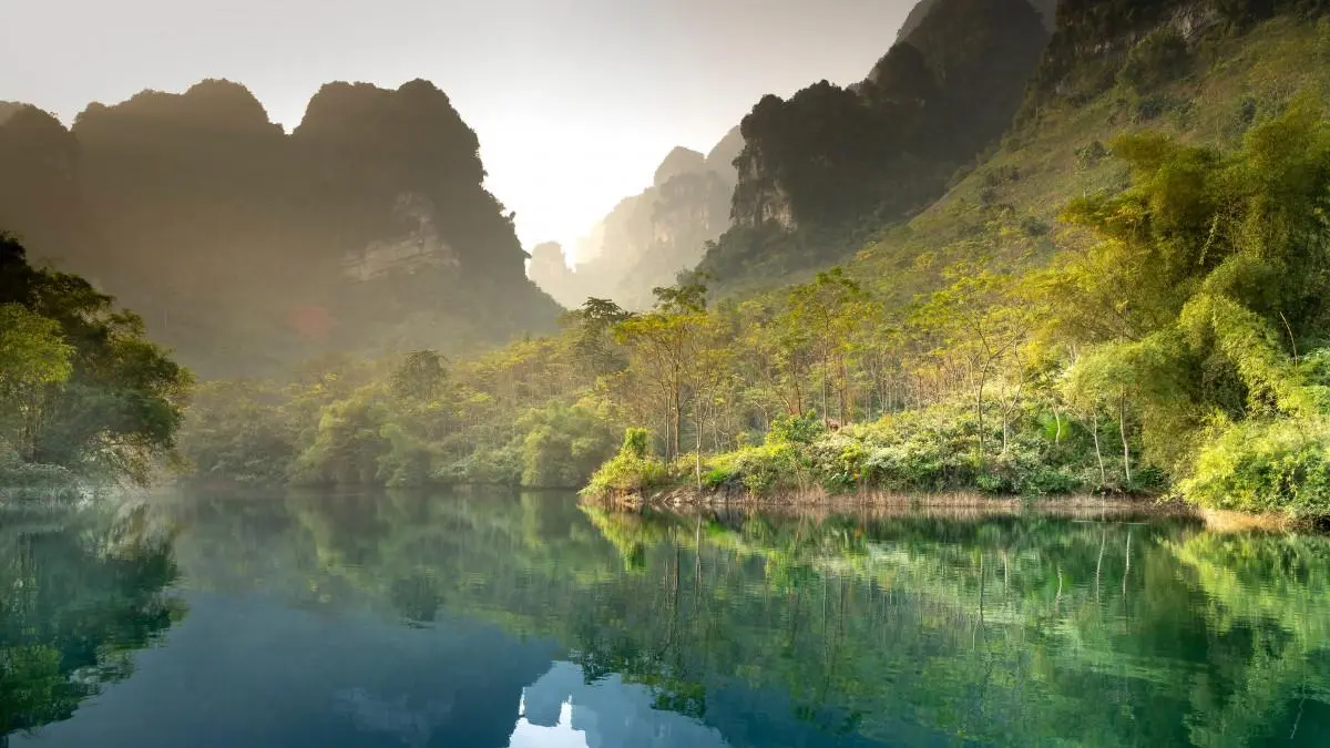 绿色高标准
